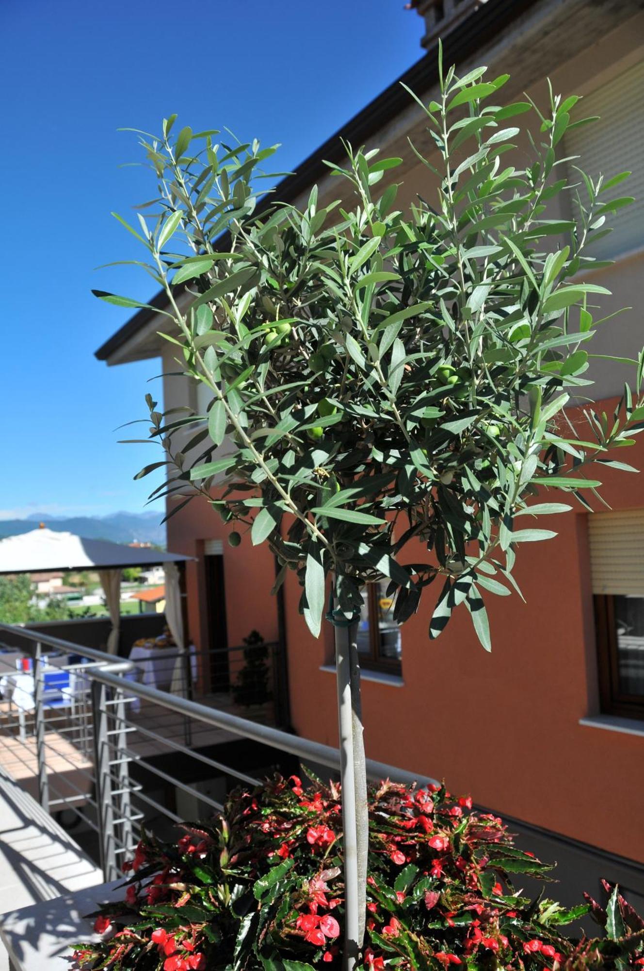 Moniga del Garda Bed & Breakfast Vieulif المظهر الخارجي الصورة